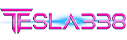 Logo TESLA338